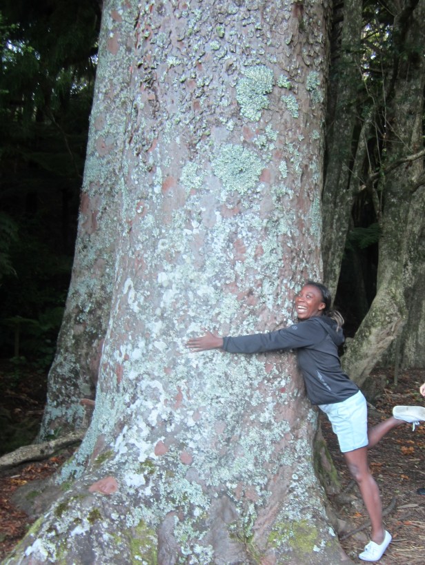 Tree Hugger 1